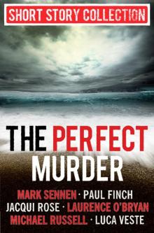 The Perfect Murder Read online