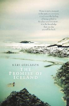 The Promise of Iceland Read online