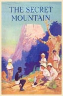 The Secret Mountain tss-3 Read online