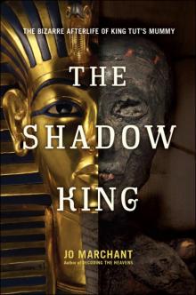 The Shadow King Read online