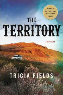 The Territory: A Novel Read online