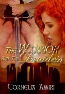 The Warrior and the Druidess Read online
