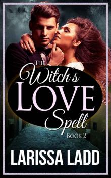 The Witch's Love Spell Book 2 Read online