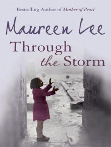 Through The Storm Read online