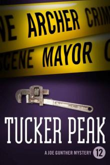 Tucker Peak Read online