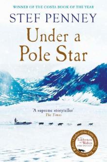 Under a Pole Star: Richard & Judy Book Club 2017 - the most unforgettable love story of the year Read online