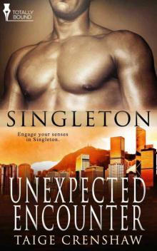 Unexpected Encounter (Singleton) Read online