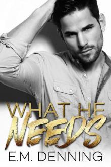 What He Needs (Desires Book 1) Read online