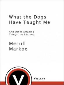 What the Dogs Have Taught Me: And Other Amazing Things I've Learned Read online