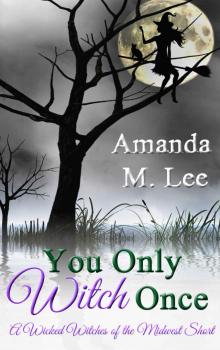 wicked witches 06.9 - you only witch once Read online
