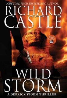 Wild Storm Read online