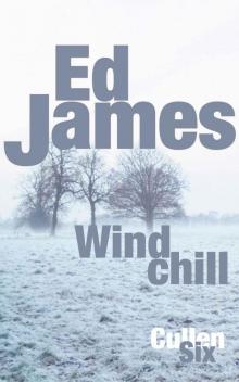 Windchill (DC Scott Cullen Crime Series Book 6) Read online