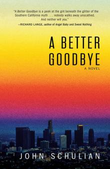 A Better Goodbye Read online