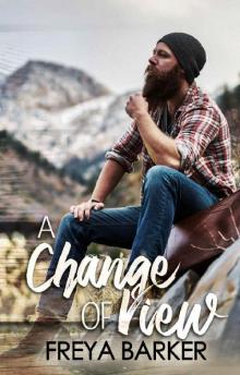 A Change Of View (Northern Lights Book 2) Read online