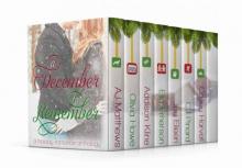 A December to Remember: a Holiday Romance Anthology