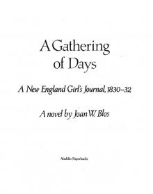 A Gathering of Days Read online