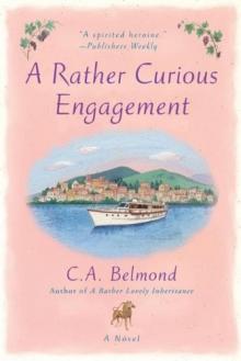 A Rather Curious Engagement Read online