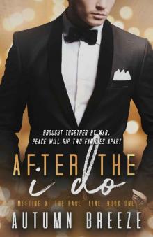 After The I Do (Meeting At The Fault Line Book 1)