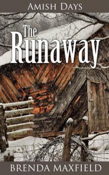 Amish Days: The Runaway: An Amish Romance Story (Hollybrook Amish Romance) Read online