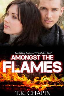 Amongst The Flames: A Contemporary Christian Romance (Embers and Ashes Book 1) Read online