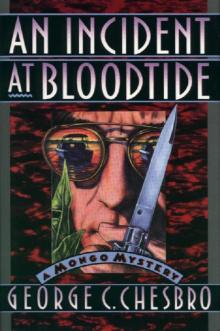 An Incident At Bloodtide m-12 Read online