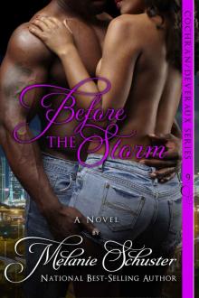 Before the Storm (The Cochran/Deveraux Series Book 9) Read online