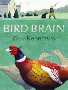 Bird Brain Read online