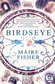 Birdseye Read online