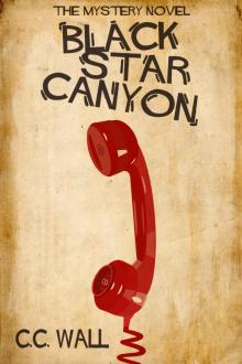 Black Star Canyon: The Mystery Novel (Black Star Canyon Mystery Novel Series Book 1) Read online
