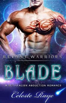 Blade Read online