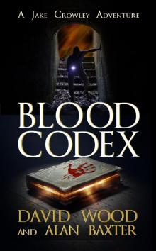 Blood Codex- a Jake Crowley Adventure