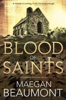 Blood of Saints Read online