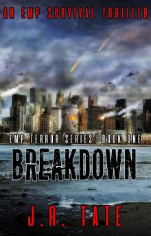 Breakdown: An EMP Survival Thriller (The EMP Terror Series Book 1) Read online