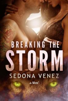 Breaking the Storm Read online