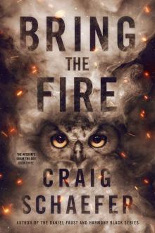 Bring the Fire (The Wisdom's Grave Trilogy Book 3) Read online