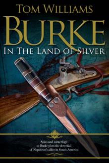 Burke in the Land of Silver Read online