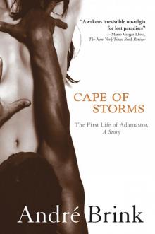 Cape of Storms Read online