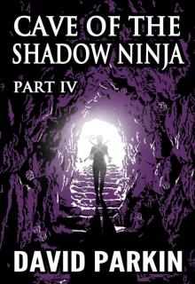 Cave of the Shadow Ninja: Part IV