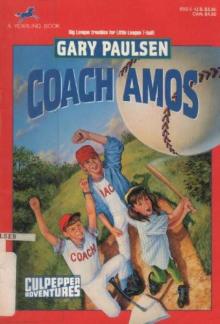 Coach Amos Read online