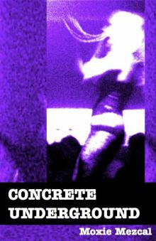 Concrete Underground Read online