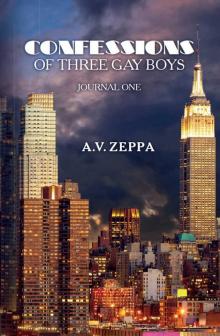 Confessions of Three Gay Boys: Journal One Read online