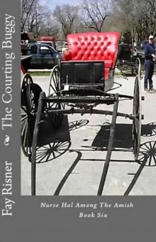 Courting Buggy: Nurse Hal Among The Amish Read online
