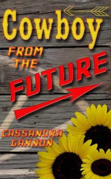 Cowboy from the Future Read online