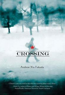 Crossing (2010)