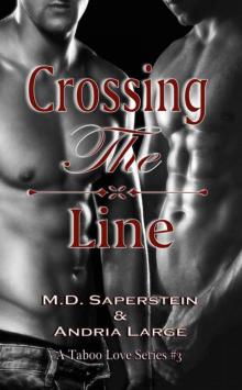Crossing The Line (A Taboo Love series Book 3) Read online