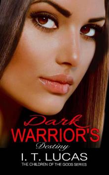Dark Warrior's Destiny Read online