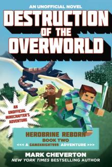 Destruction of the Overworld Read online