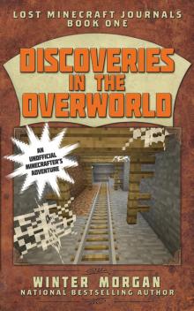 Discoveries in the Overworld Read online