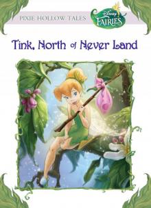 Disney Fairies: Tink, North of Never Land Read online