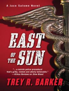 East of the Sun Read online